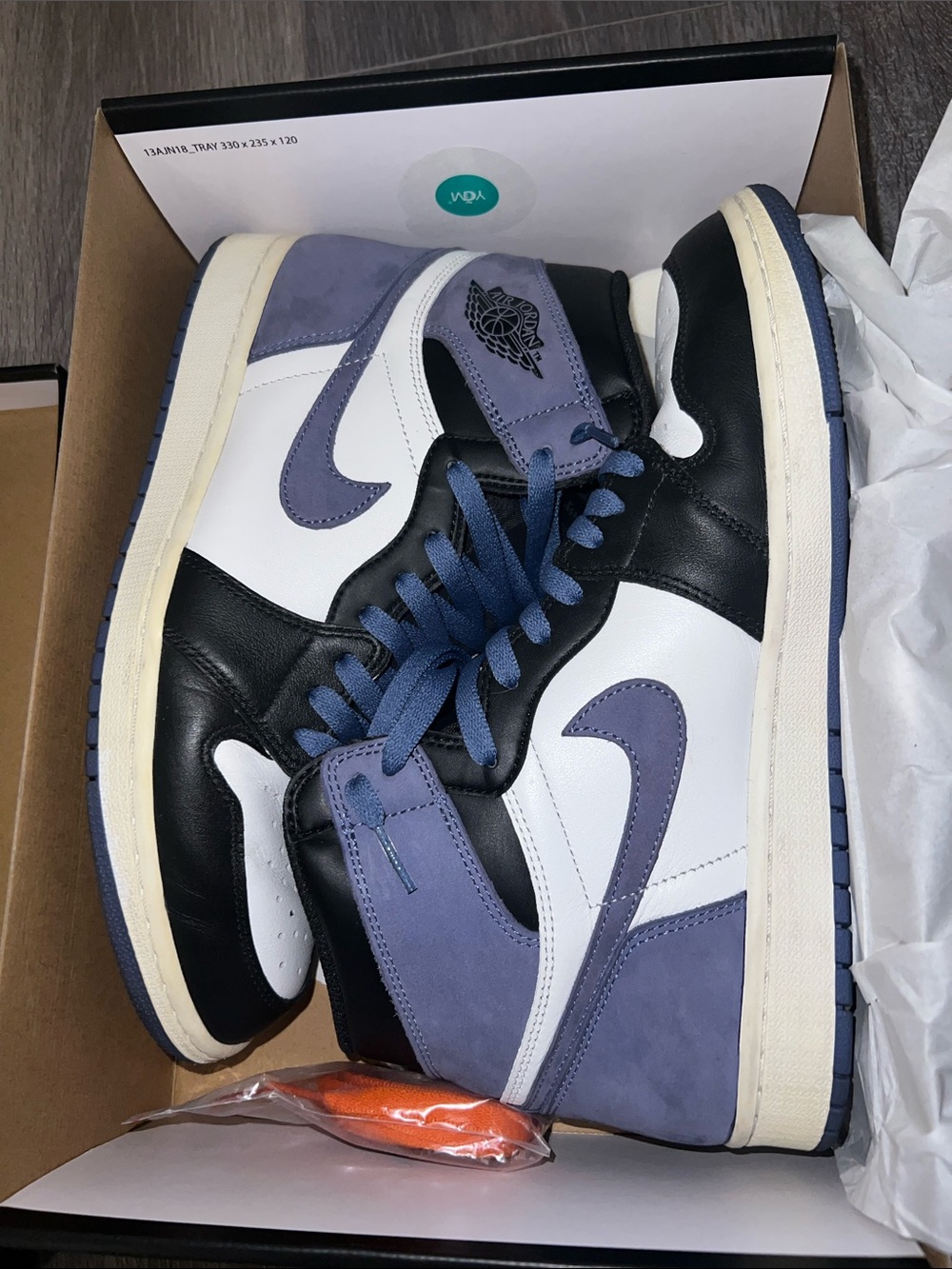 Nike Air Jordan 1 Blue Moon (RARE)